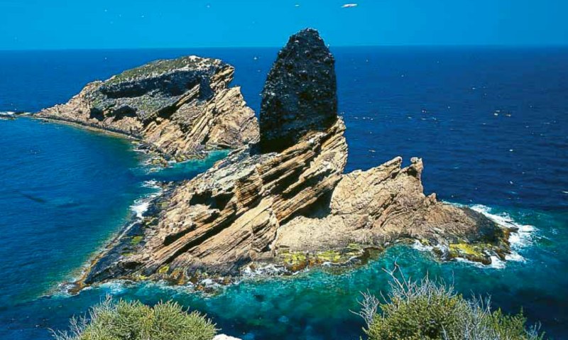 colubretes roca