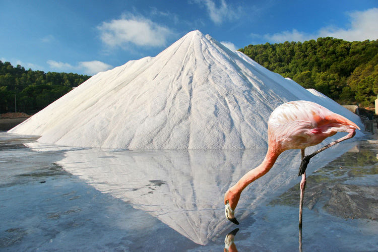 Alquiler de barcos, catamaranes, veleros, yates, motoras
