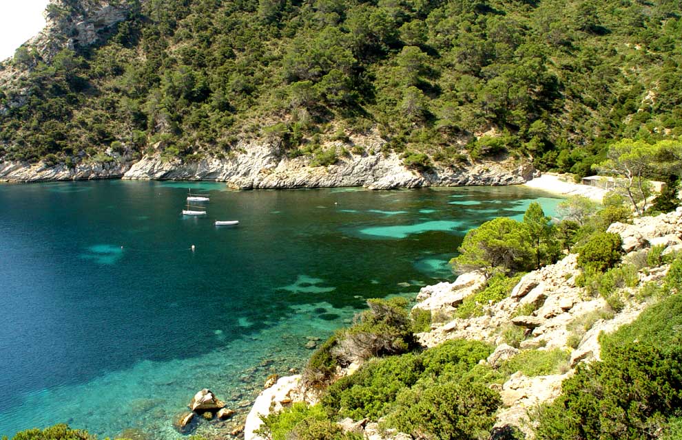 a_Cala-Llentrisc-a Alquiler de barcos veleros catamaranes yates lanchas motoras alquiler de barcos Ibiza y Formentera