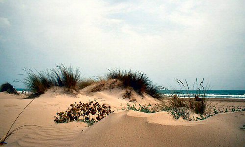 alquiler-barcos-ibiza- Veleros-catamaranes-yates-dunas jpg