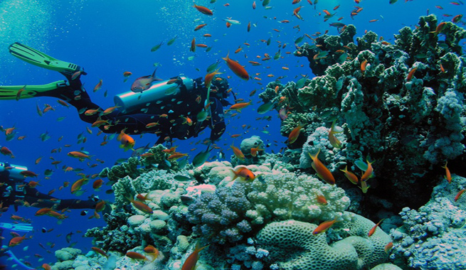 Alquiler-Catamaranes-Ibiza-Formentera jpg